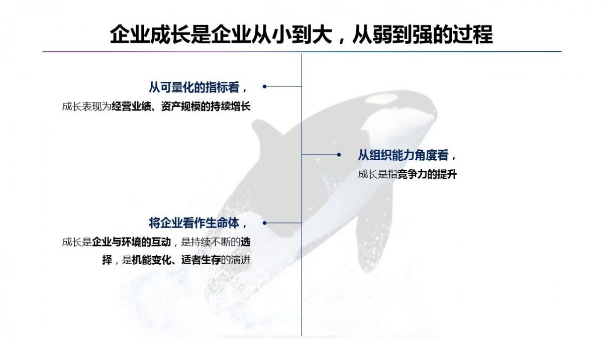 施炜：人才的高密度是公司最大能量场02