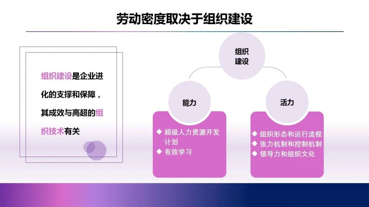 施炜：人才的高密度是公司最大能量场10